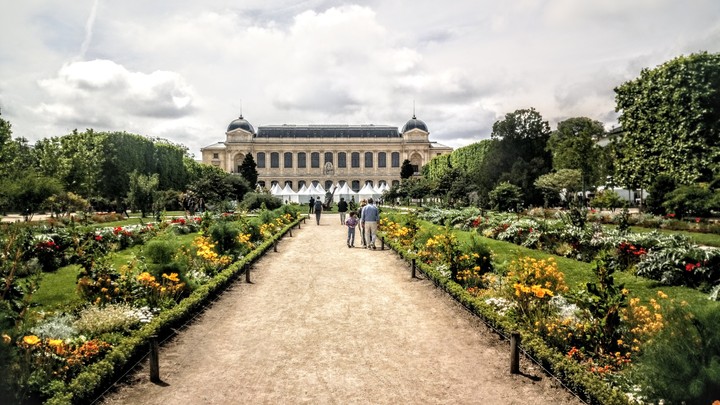 botanical garden - Paris