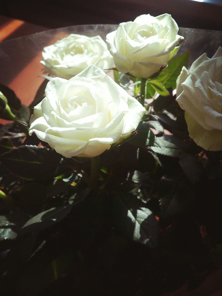 flowers