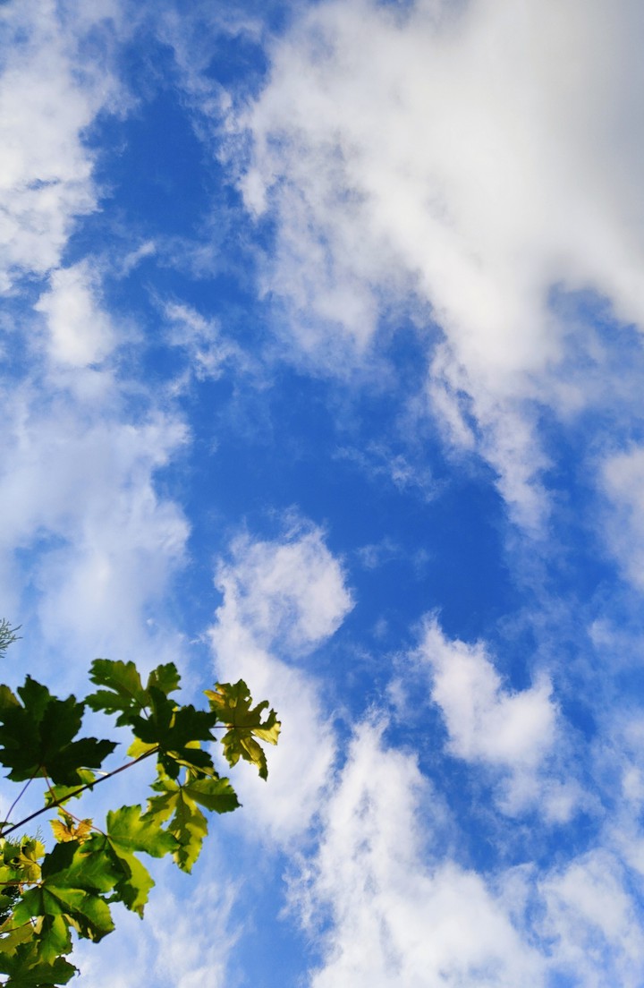 Sky