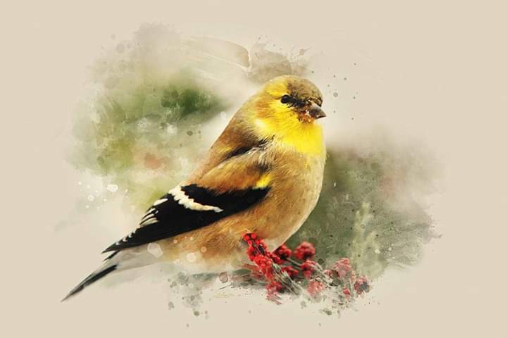 painting