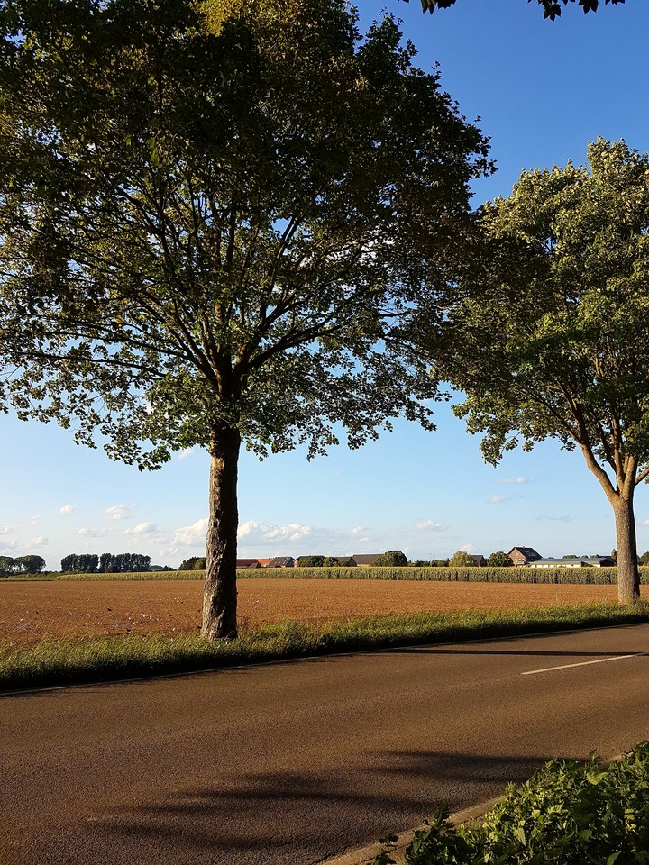 Road
