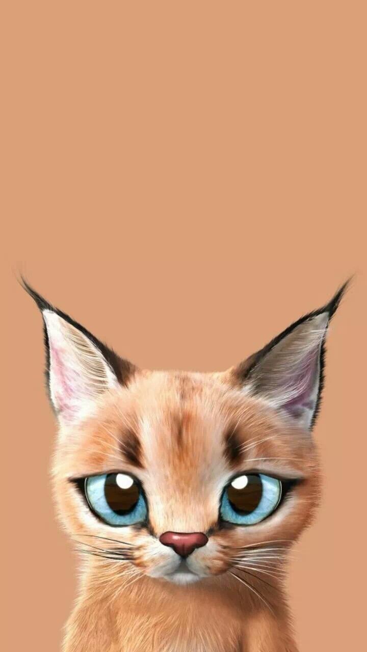 Lynx
