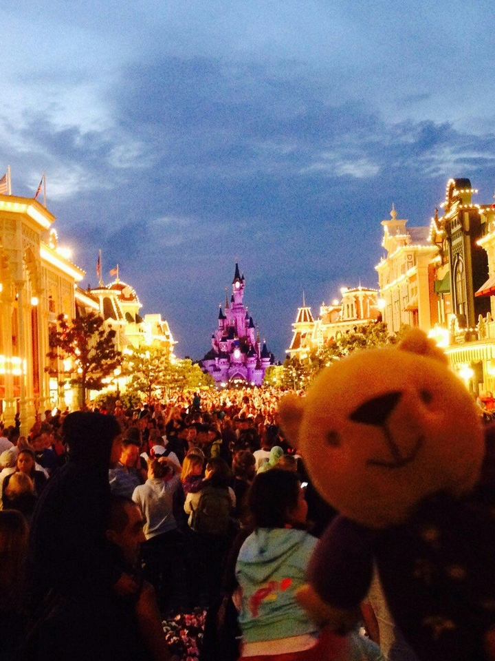 Bear in Disney Land