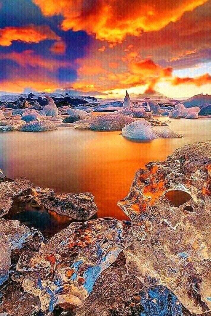 awesome golden pic