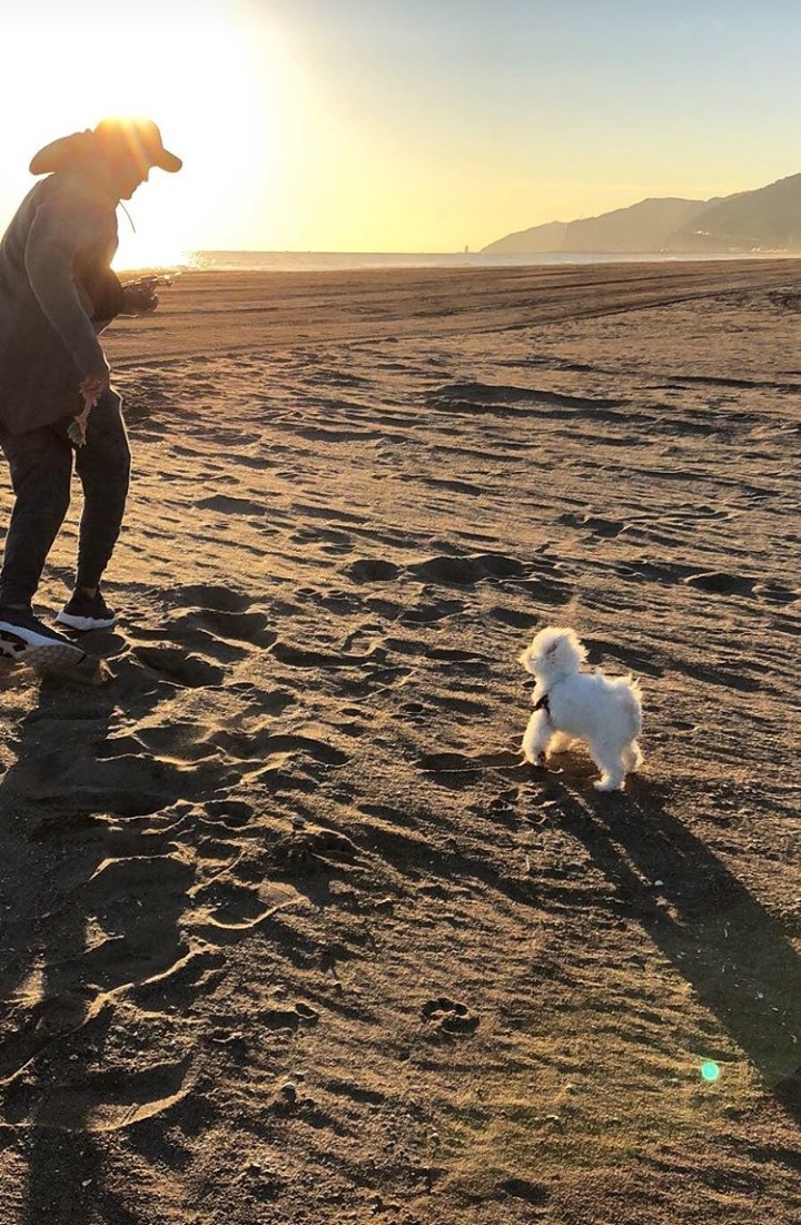 lonely with my dog