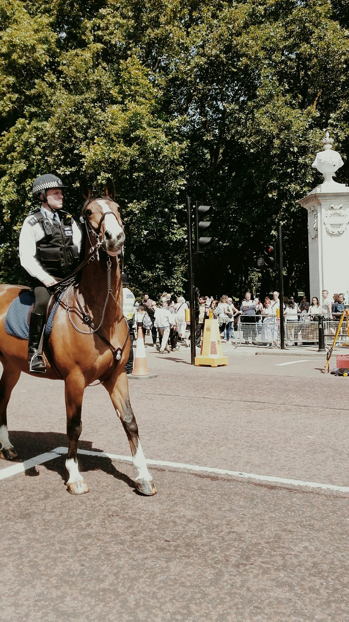 Przed pałacem Buckingham