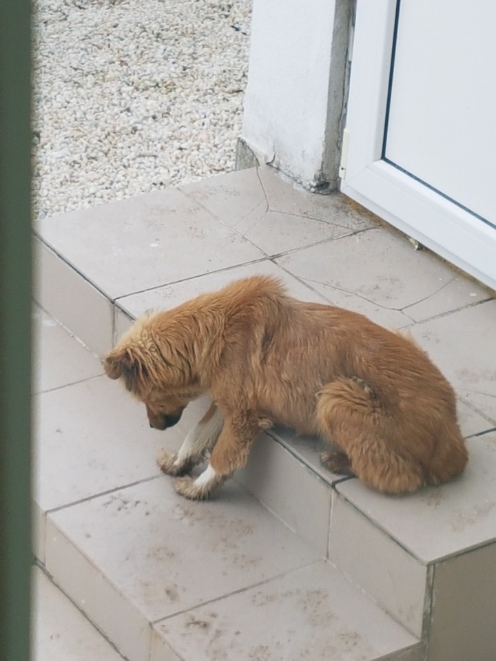 So tired