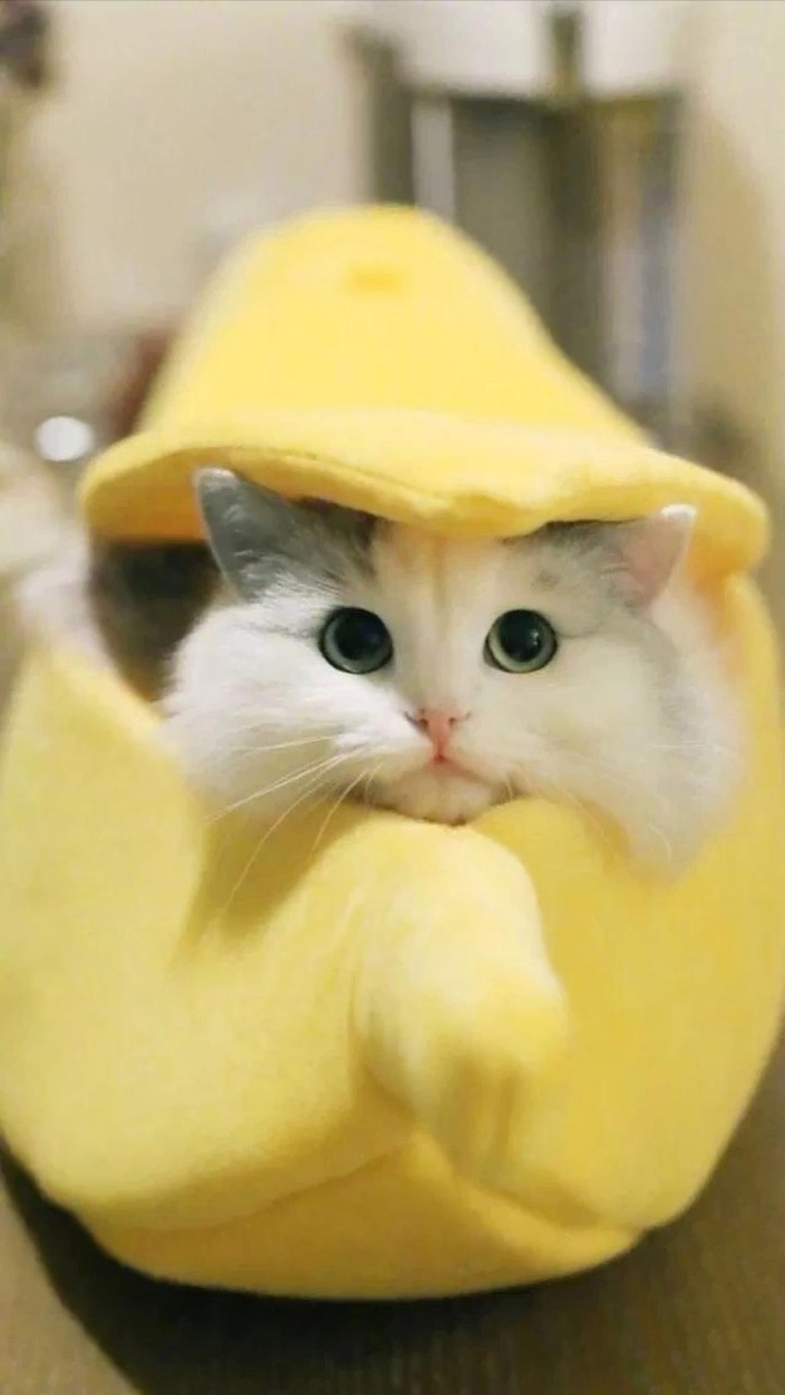 yello