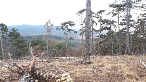 hike