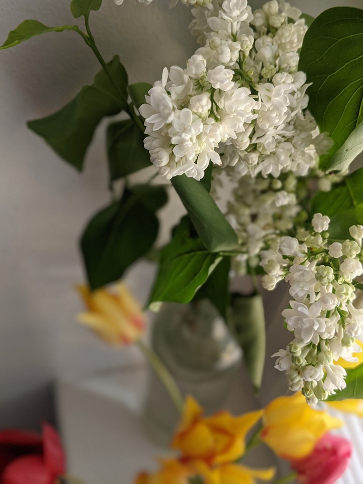 Spring flowers