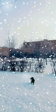 снежно