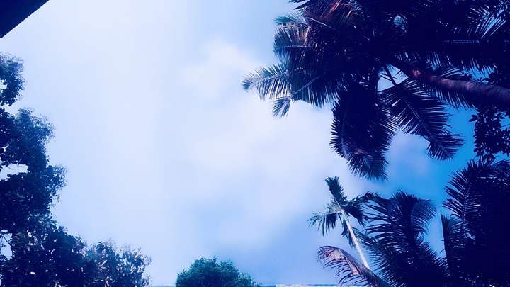 Sky.. again