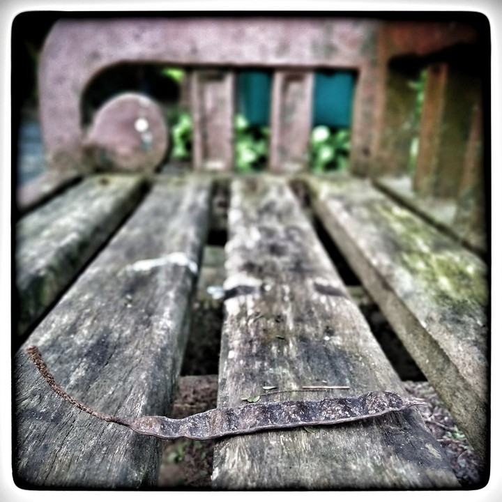 old lines