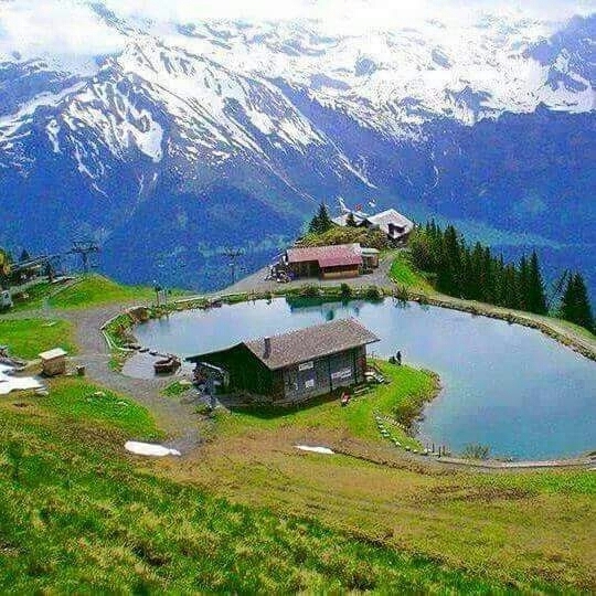 rize