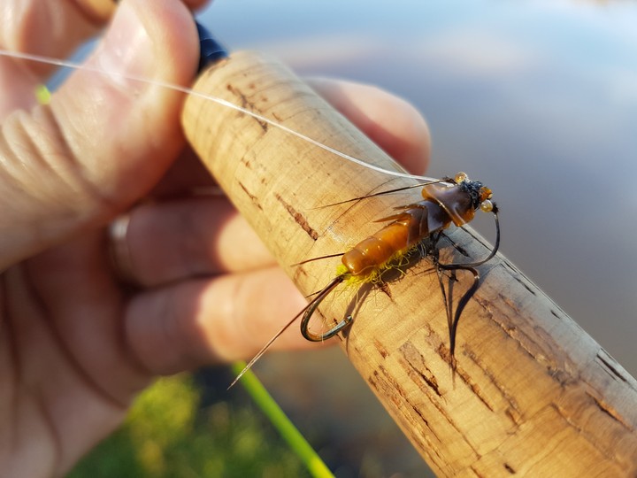 Fly fishing
