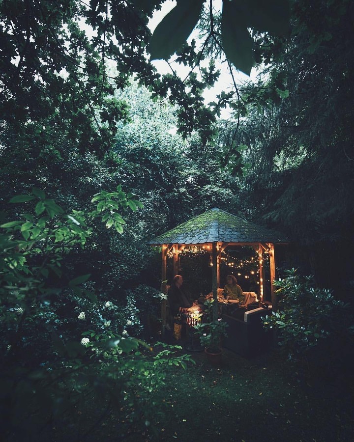 Nature Photography