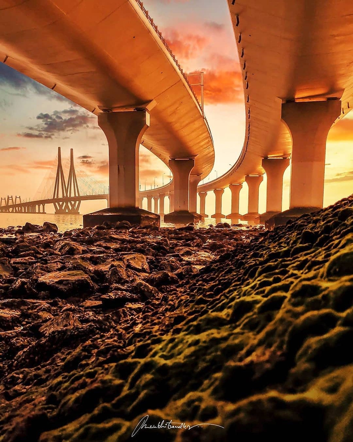 Sealink