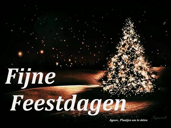 fijne feestdagen