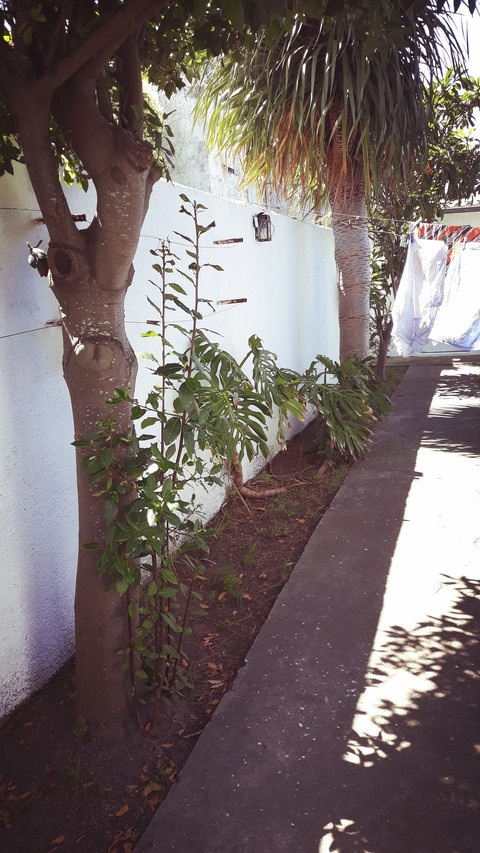 Patio...