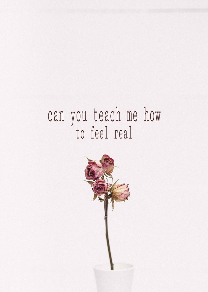 Feelings