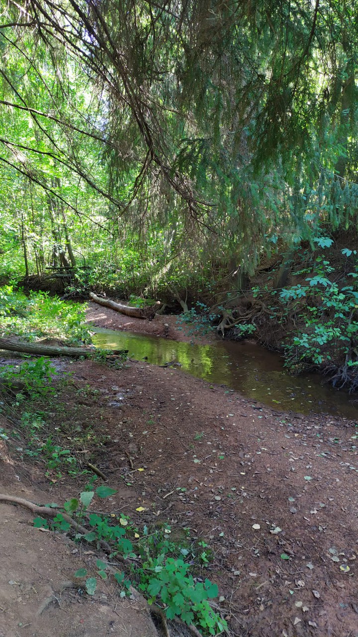 nature