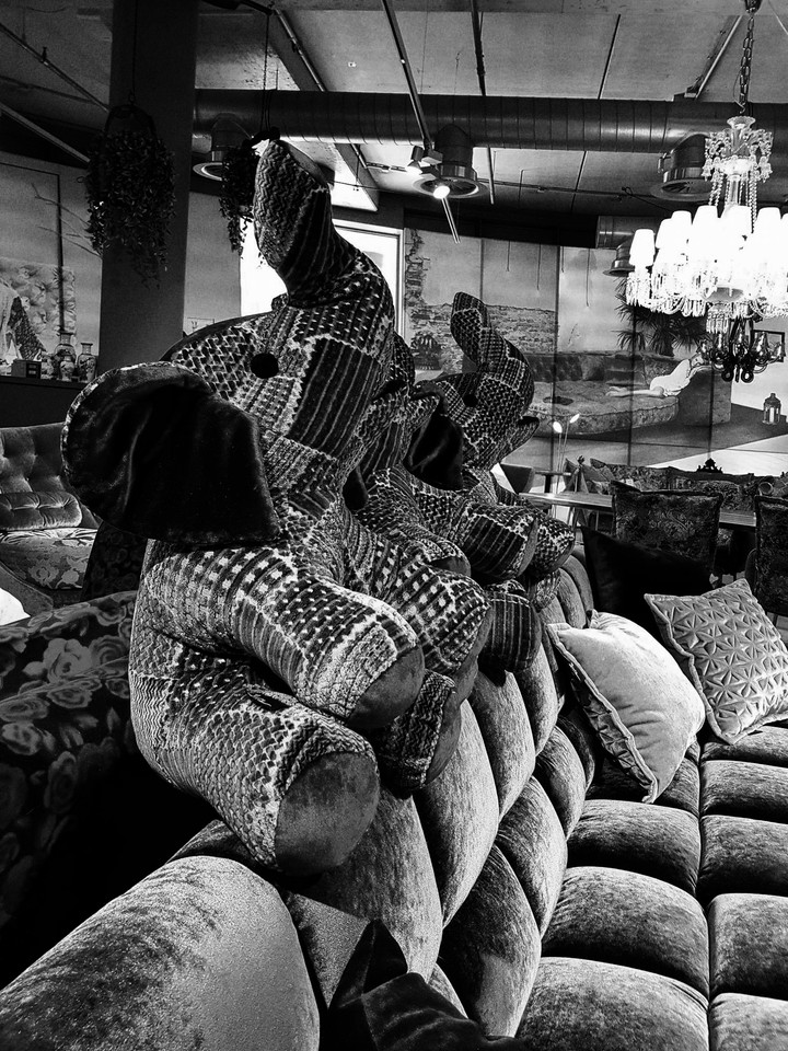 Elephants in room