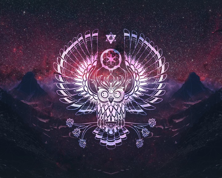 Owl and dreamcatcher