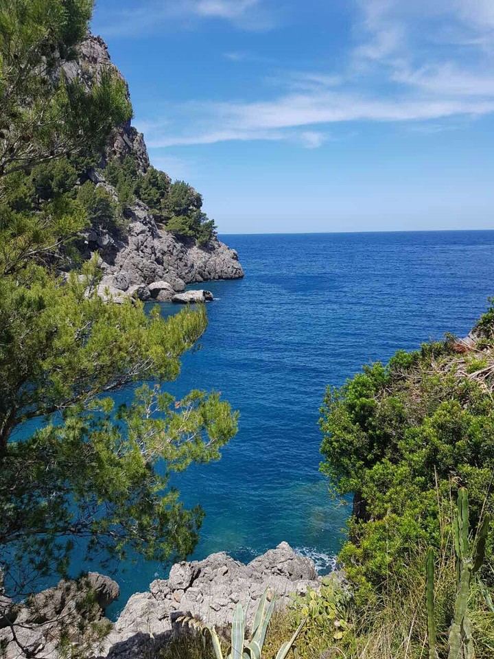 Marine landscape