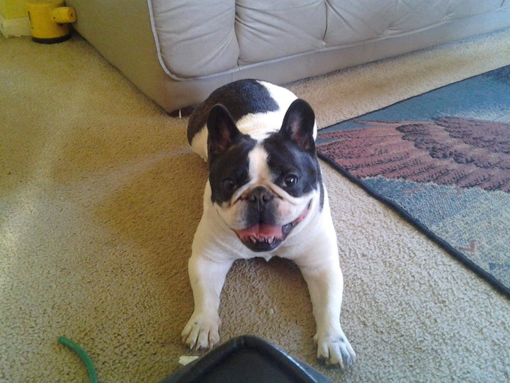 DePew at around 12 years and 5 months old