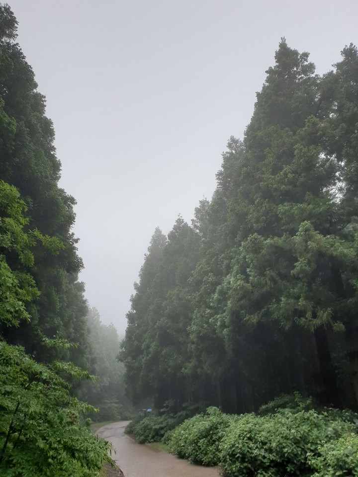 jeju