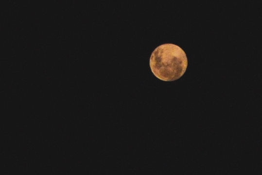 La hermosa Luna!