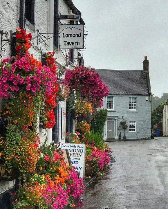 Tavern&Cottage