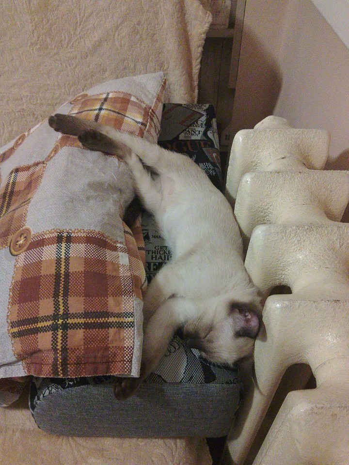 тепло
