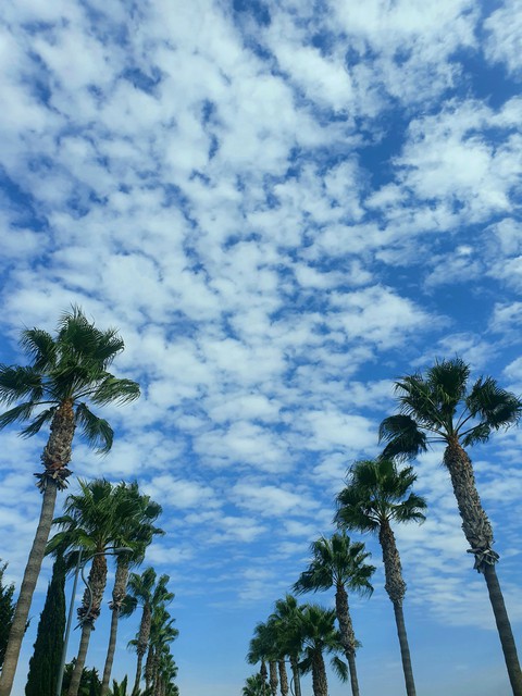 Blue sky