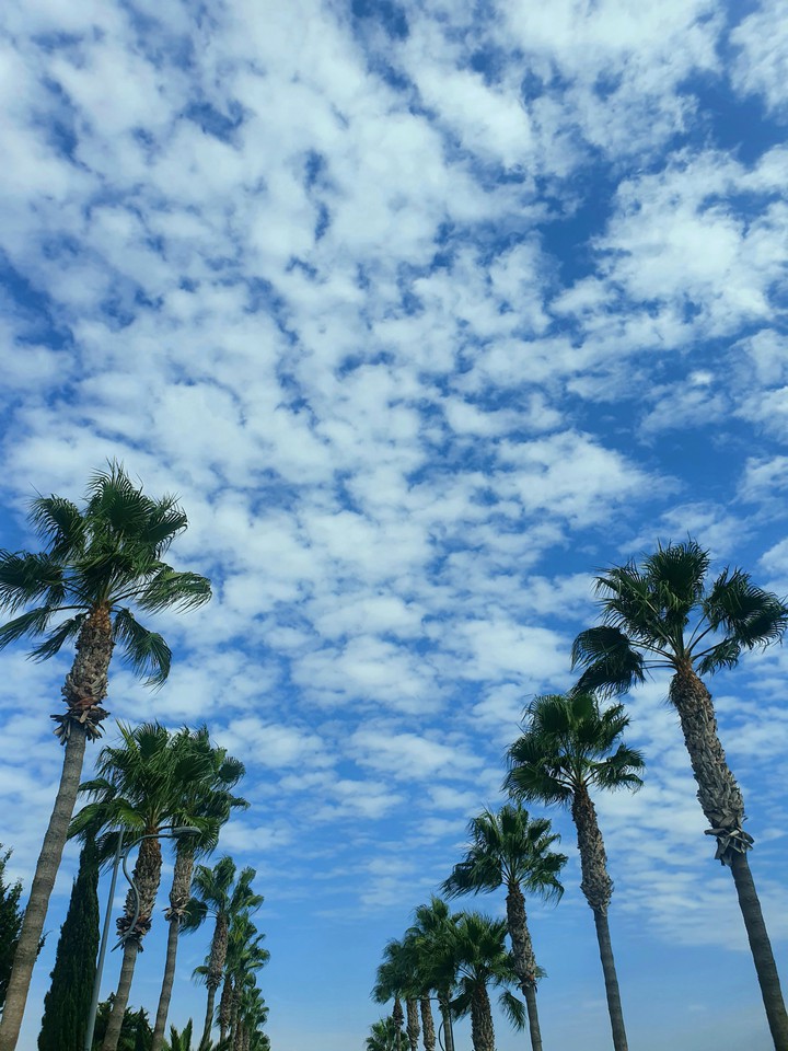 Blue sky
