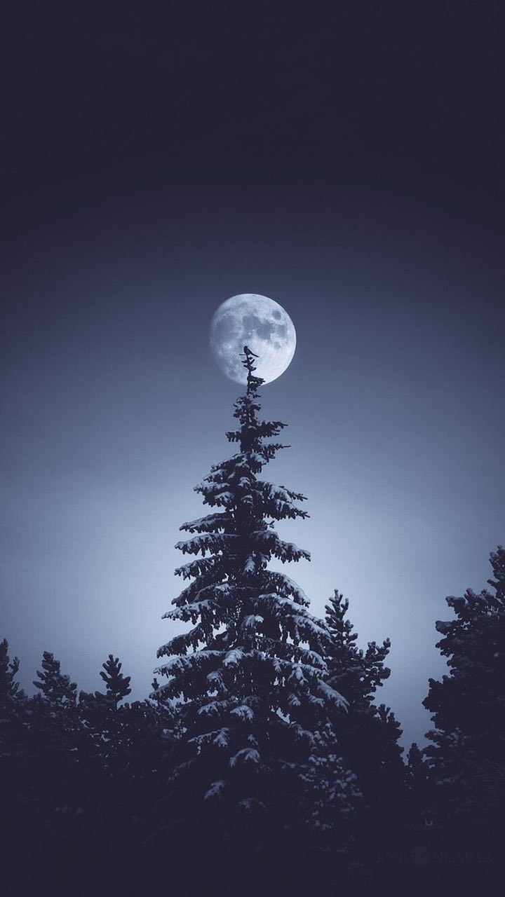 night