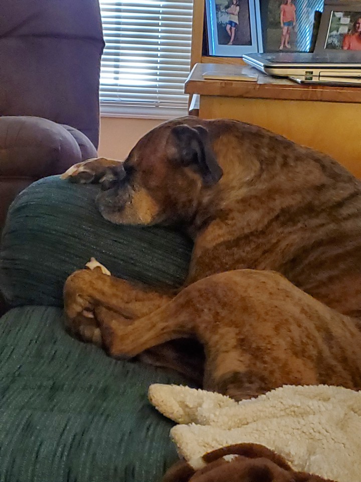 gabby asleep 2020