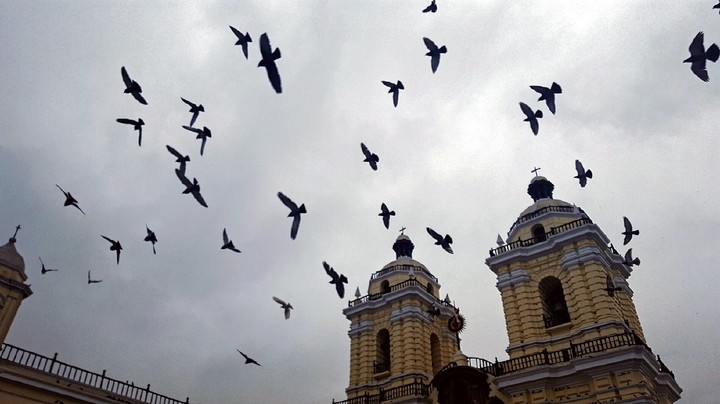 Let's fly together