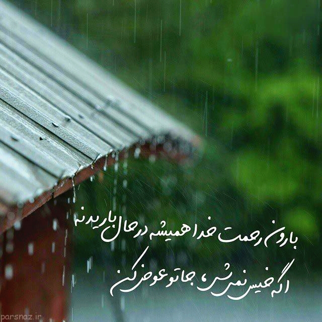 rine