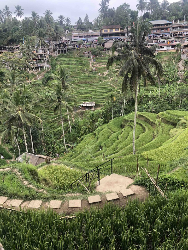 ubud freedom