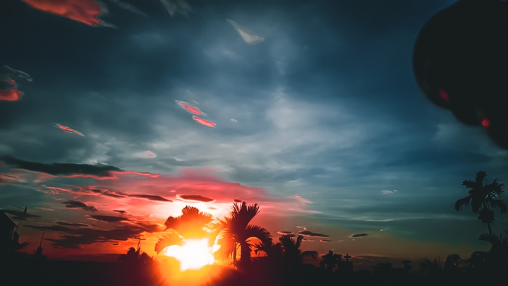 the tropical evening vibes