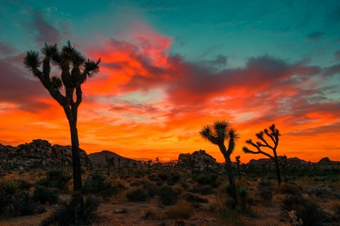 beautiful sunset