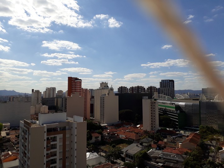 meu dia