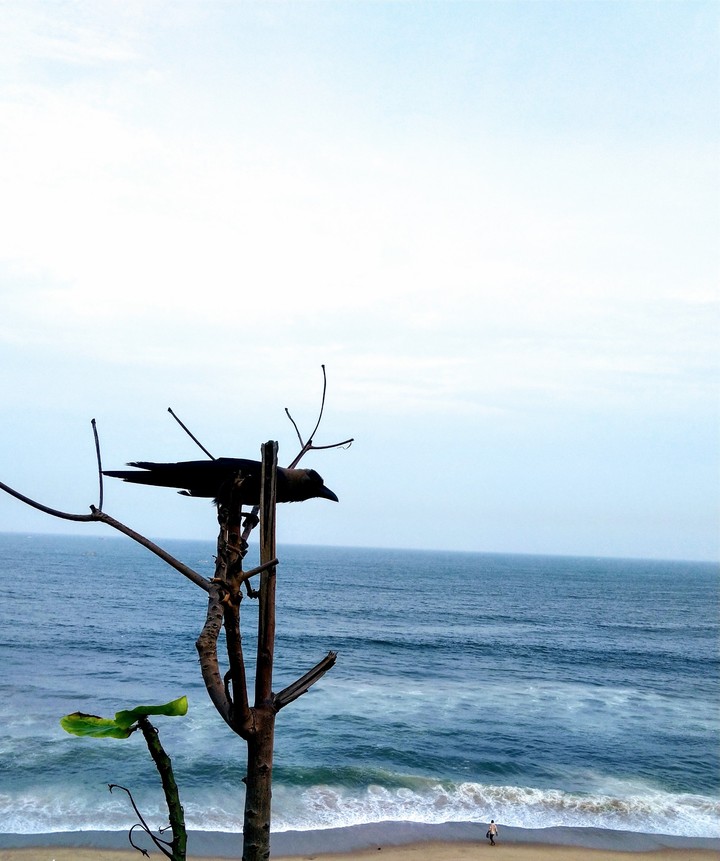 Beach love ?