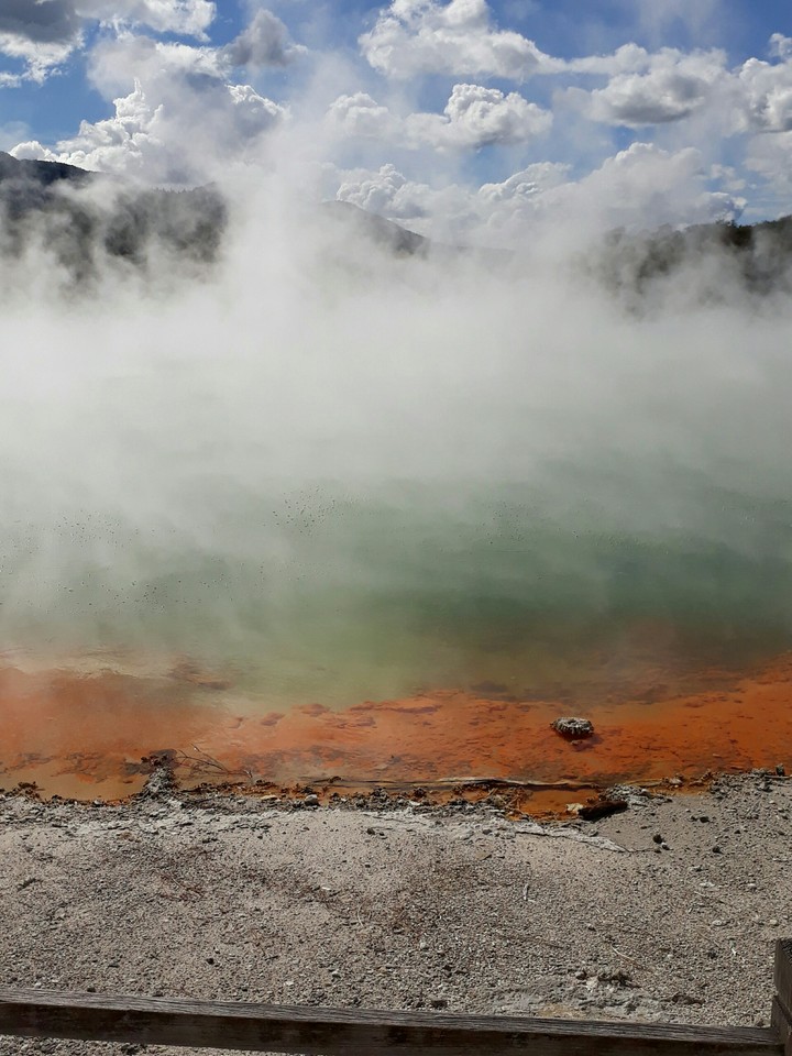 champagne pool