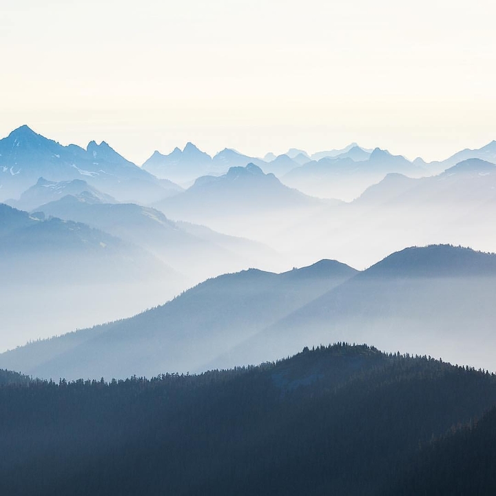 Nature Photography