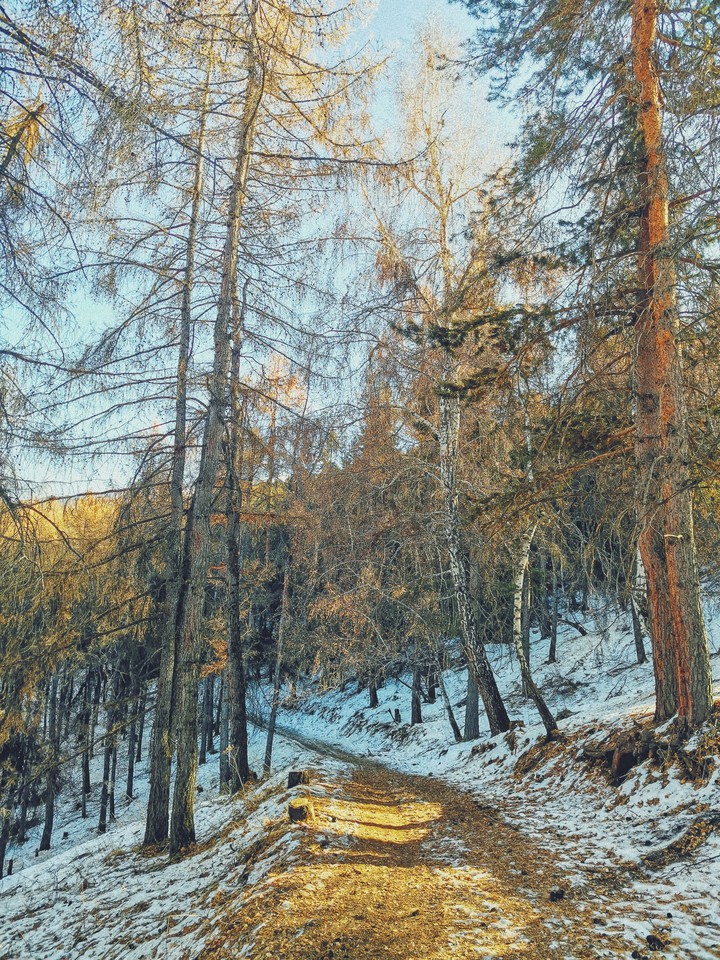 mountain