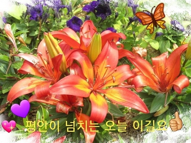 좋아요