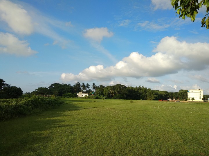 sunny day