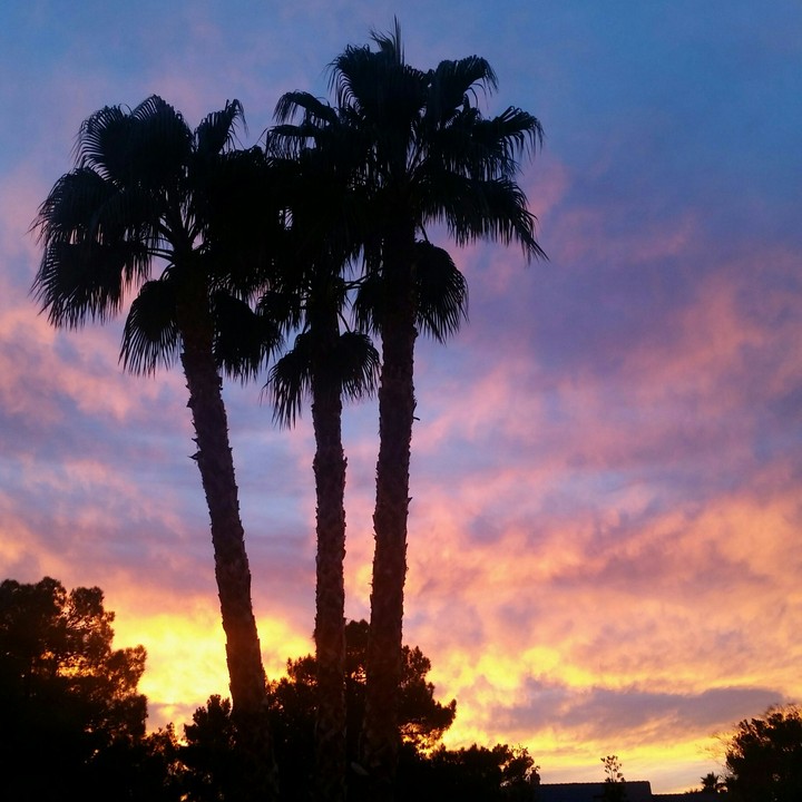 a glimpse of heaven.